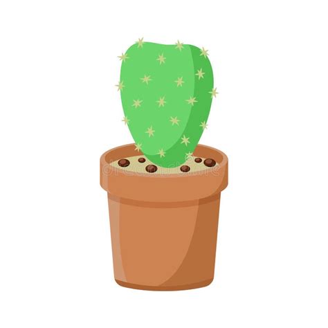 Green Cactus In Clay Pot Isolated Vector Stock Vector Illustration Of