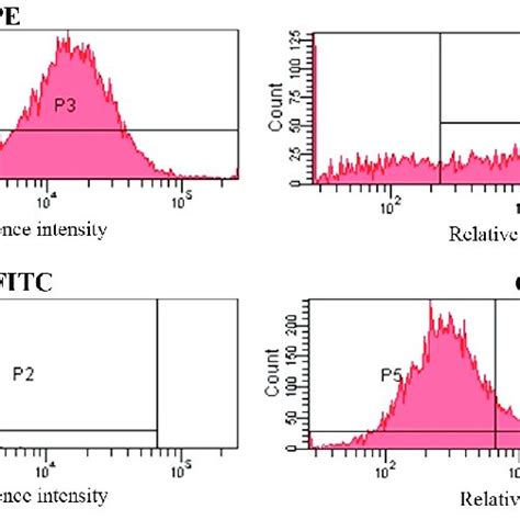 Determination Of Msc Surface Antigens By Fcm Mscs Were Positive For