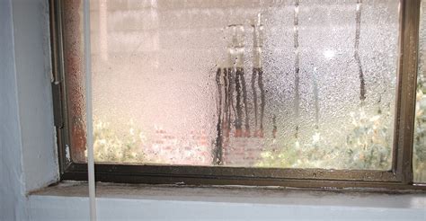 Mold Growth on Windows | Causes and Solutions - Environix