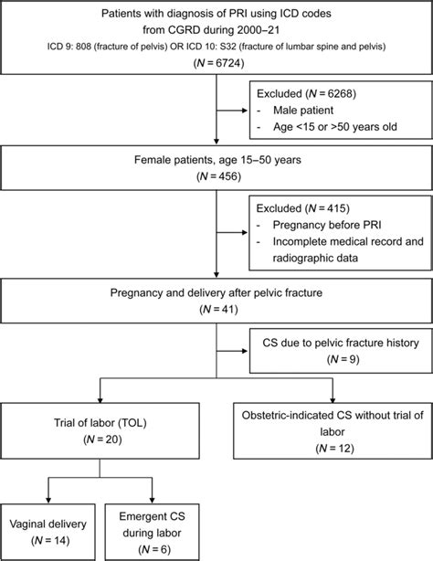 Flowchart Showing Patient Recruitment And Outcome Of Pregnancy Cgrd