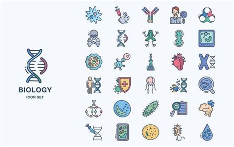 Biology Vector Art Icons And Graphics For Free Download