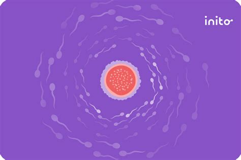 Can You Get Pregnant Without Having Sex Inito