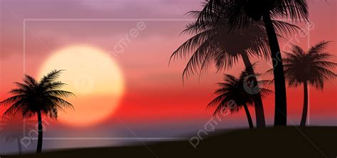 Summer Tropical Coconut Tree Sunset Background Banner Summer Tropical