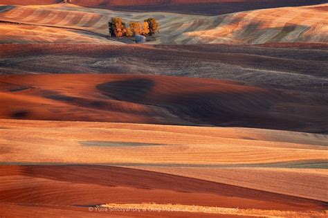 Palouse Hills Sunset, Eastern Washington Autumn Landscape, Palouse ...