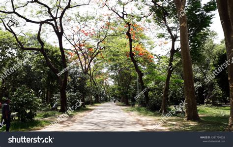 144 Ramna Park Images, Stock Photos & Vectors | Shutterstock