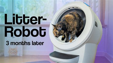 Litter-Robot Vs Comparison: We Tested Both Litter Boxes!, 40% OFF