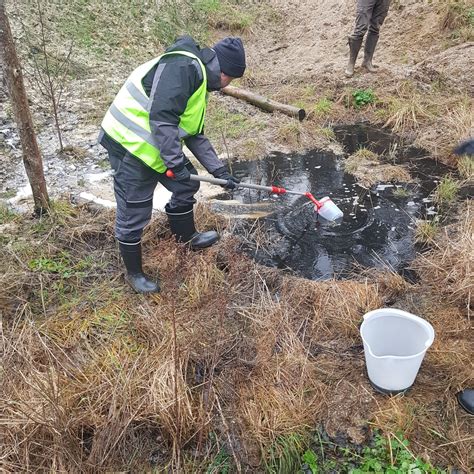 Pobory Pr B Odciek W W Mirocinie Dolnym Wojew Dzki Inspektorat