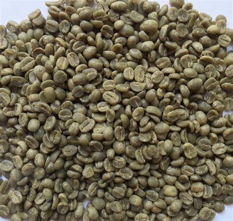 Where To Buy Unroasted Coffee Beans Coffee Lovers