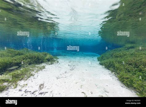 Divers Underwater Caves Diving Ginnie Springs Florida Usa Stock Photo