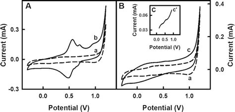 Cyclic Voltammograms Of Gr Modified By Enzymatically Synthesized