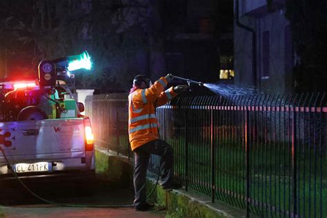 Dengue Altri 5 Casi Autoctoni Nel Bresciano Focolaio A Bornato