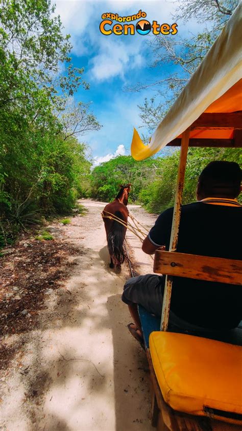 Los 3 Cenotes de Cuzamá Explorando Cenotes