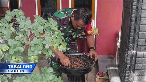 Belajar Otodidak Babinsa Kodim 1008 Tabalong Suskes Budidaya Madu