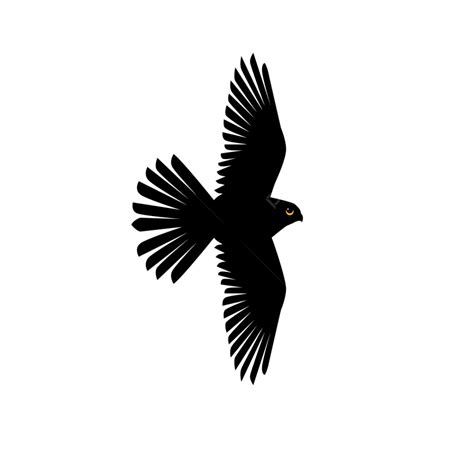 Kestrel Vector PNG Images Kestrel In The Flight Silhouettes Vector