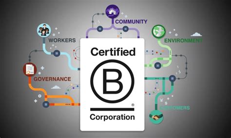 The B Corp Businesses Balancing Purpose Planet And Profit The Spinoff