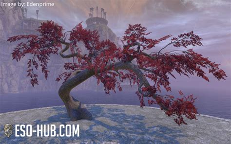 Alinor Maple Large Red Eso Hub Elder Scrolls Online