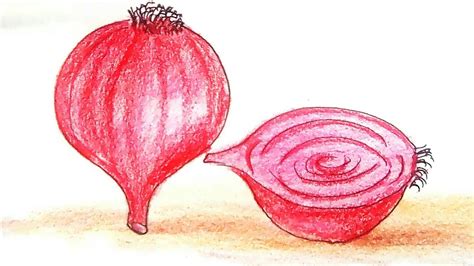 How To Draw A Onion