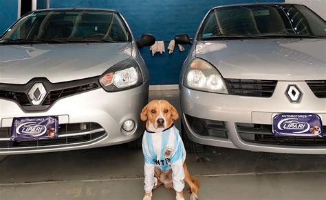 El vendedor más fiel la agencia que publica sus autos con perros de la