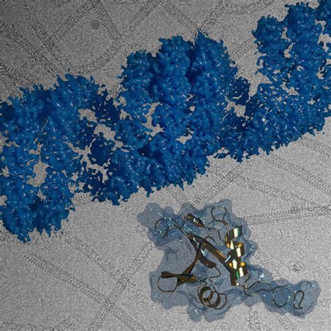 Helmholtz Imaging CONNECT Structural Biology