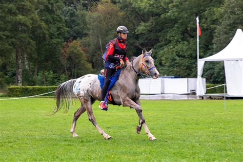 Jaume Punti Dachs Bronce En El Campeonato Del Mundo De Raid