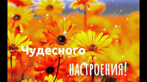 Доброго осеннего утра! Хорошего Мирного дня! - YouTube
