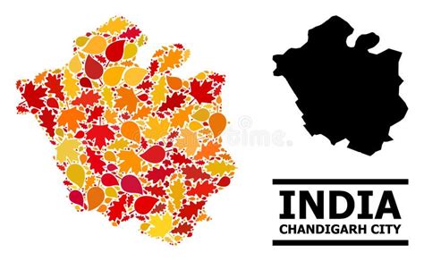 Autumn Leaves Mosaic Map Of Chandigarh City Stock Vector