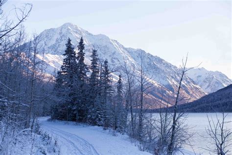 17 Incredible Winter Activities in Anchorage, Alaska