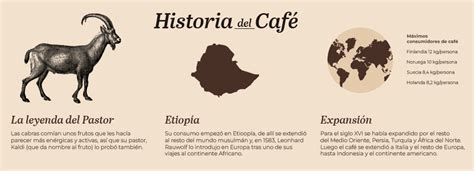 Historia Del Caf Desde Su Origen Hasta