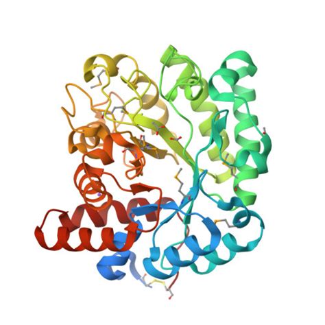 RCSB PDB 4YYF The Crystal Structure Of A Glycosyl Hydrolase Of GH3