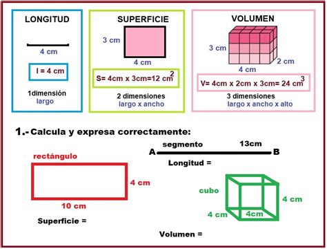 O peixe dixital de 5º e 6º Concepto de volumen