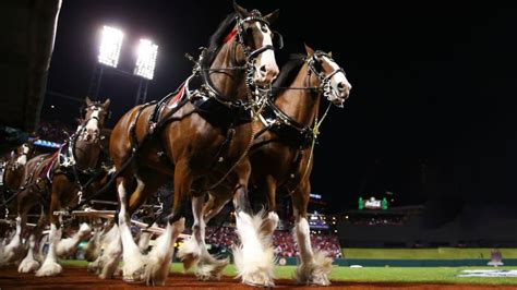 The Budweiser Clydesdales' 23 Best Super Bowl Commercials