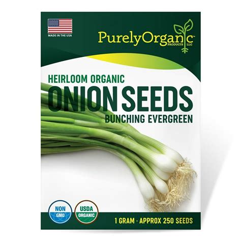 Purely Organic Heirloom Onion Seeds Bunching Evergreen Approx 250