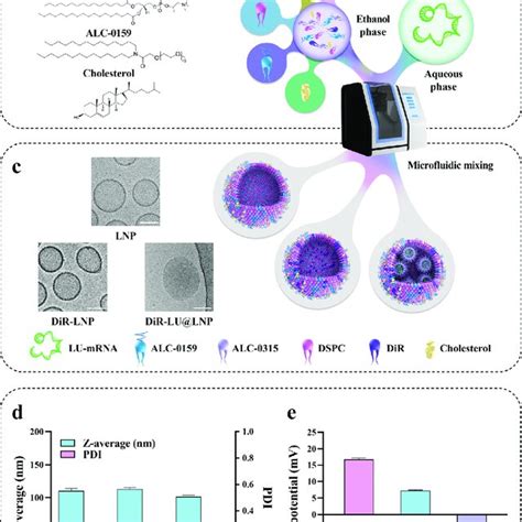 preparation  characterization  lnp dir lnp  dir luatlnp