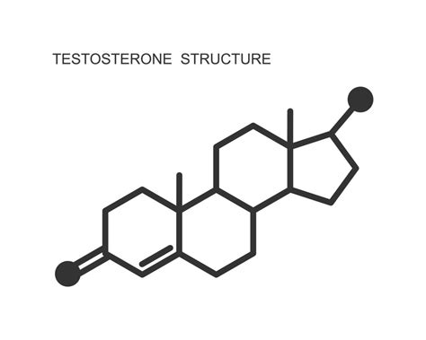 Structure Of Testosterone