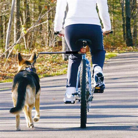 Cane Legato A Bici Dago Fotogallery