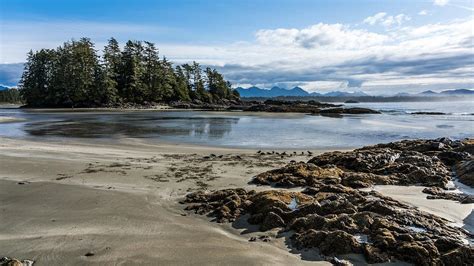 Playa Tofino Isla De Vancouver Foto Gratis En Pixabay