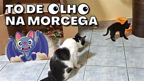 Tô de olho na Morcega YouTube