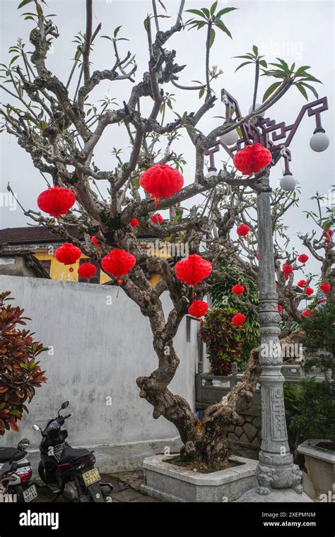 Hoi An Vietnam 7 Feb 2024 Phuoc Kien Hoi Quan Fukien Chinese