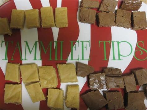 Carnation Famous Fudge Recipe - Tammilee Tips