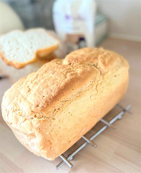 Sugar Free Gluten Free Bread Recipe. No Knead Easy Bread Recipe - Etsy