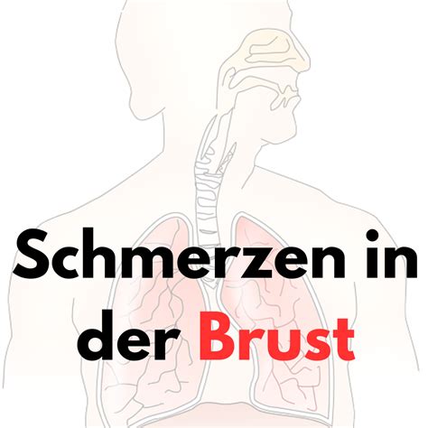 Schmerzen In Der Brust Funktionelle Ursachen Und L Sungen