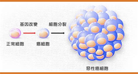 臨床腫瘤科 檢測、診斷、治療及預防癌症 Hk Clinical Oncology