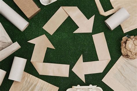 Paper Recycling Guide Advantages And Requirements › Evreka