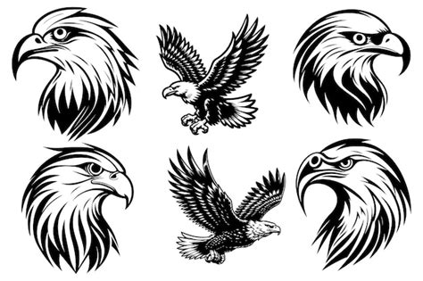Premium Vector Eagle Icon Vector Illustration