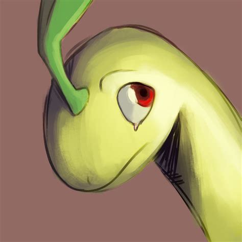 Daily Doodle Sombre Bayleef By Countdraggula On Deviantart