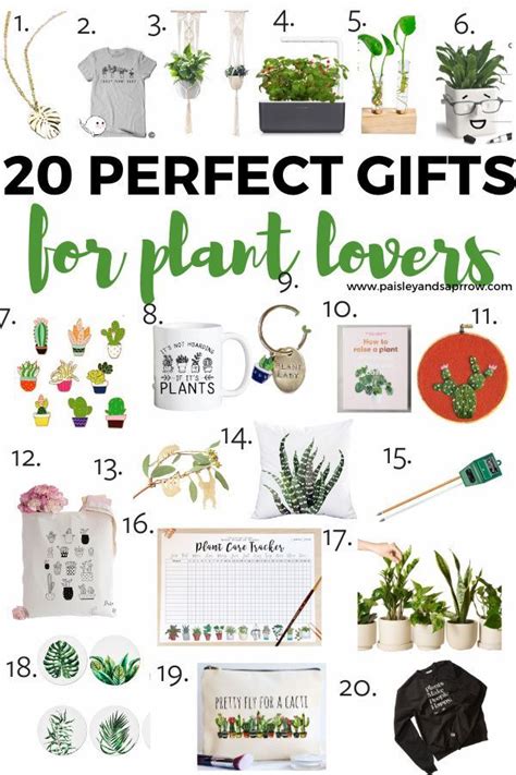 28 Perfect Ts For Plant Lovers Unique Plant Ideas 2021 Paisley
