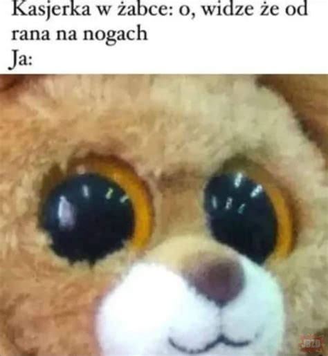 Kto Rano Wstaje