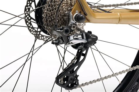 Geero E Bike Gravel Edition Golden Dust Stilvoll Radeln