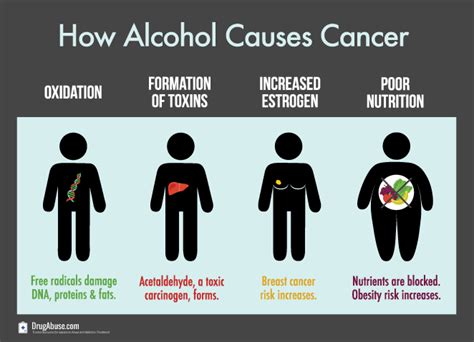 Alcohol Causes Cancer