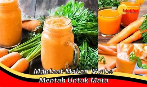 Temukan Manfaat Jus Seledri Dan Wortel Yang Jarang Diketahui Biotifor